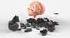 Proven Methods on How to Reverse Cognitive Decline